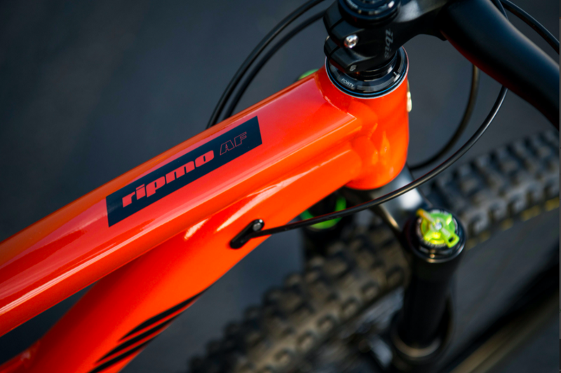 Ibis Ripmo AF - DVO Coil - Deore Build - Red Savina - 2022-1